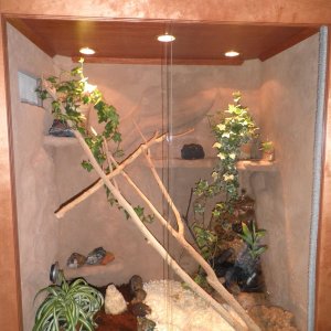 Terrarium